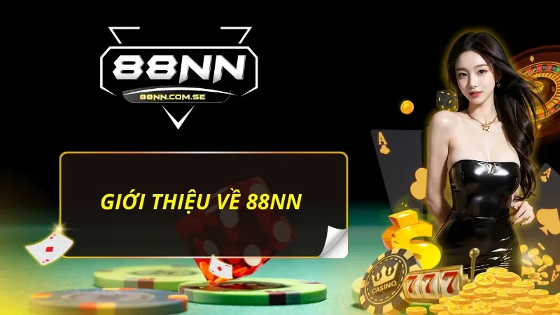 Vài nét cần biết về 88NN 
